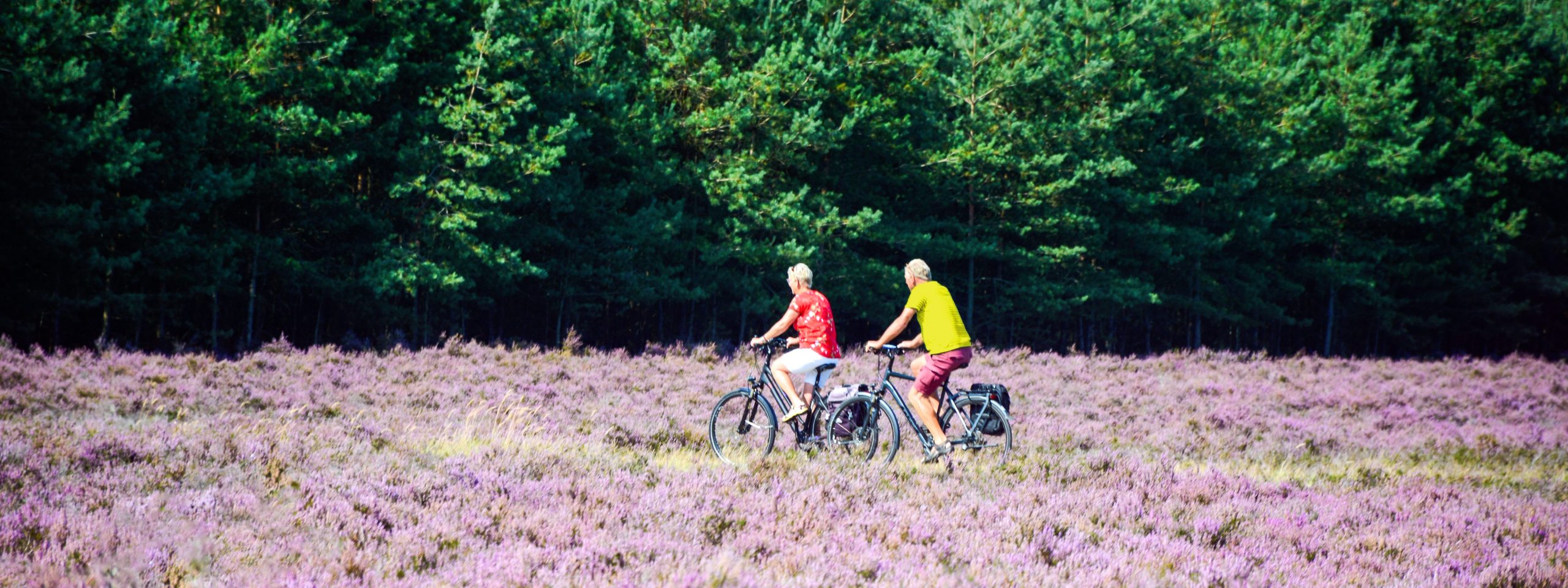 Pensioenkring Sweco 8211 Hoeveel risico wilt u met uw pensioen nemen